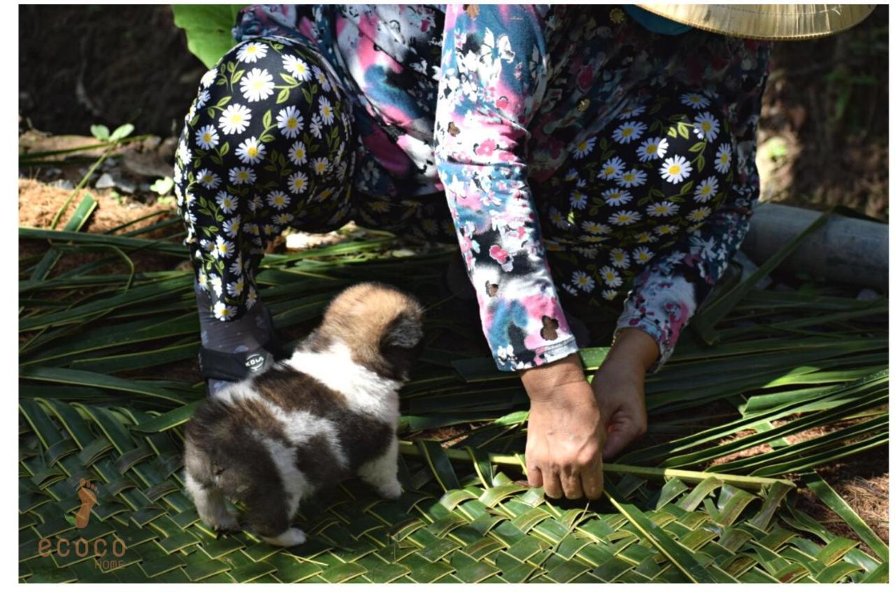 Ecoco Homestay Mekong Ben Tre Экстерьер фото