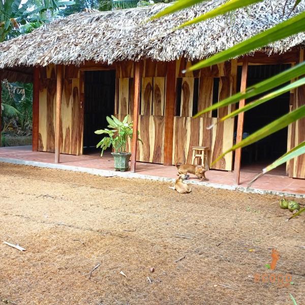 Ecoco Homestay Mekong Ben Tre Экстерьер фото